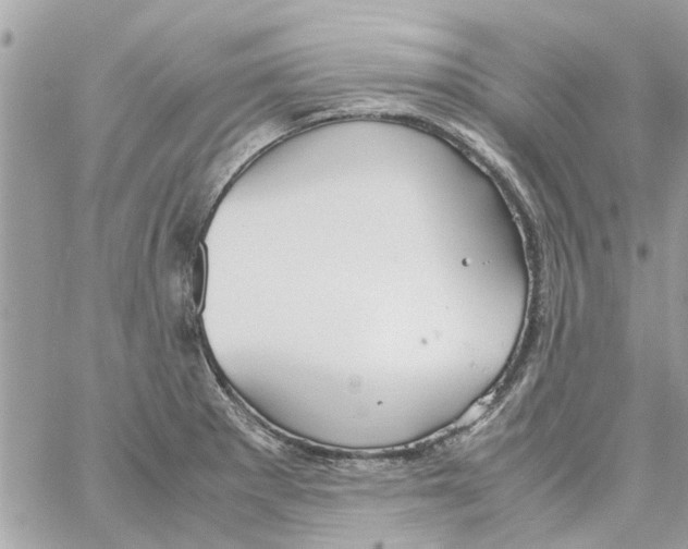 X0000058131281200510212036