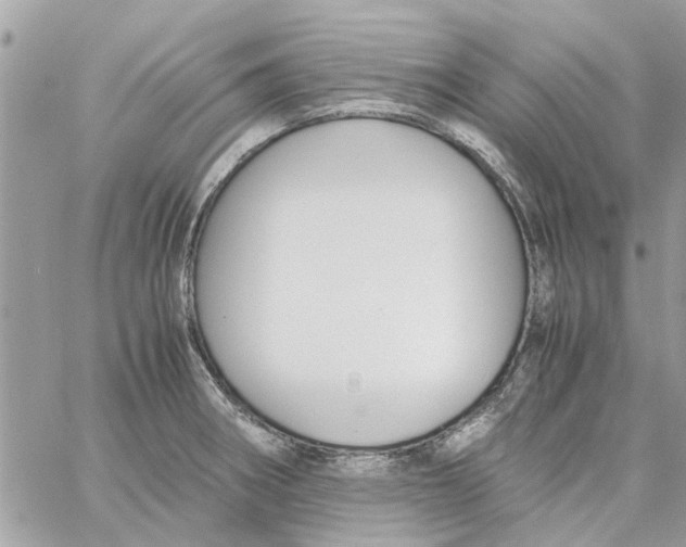 X0000058131282200510212036