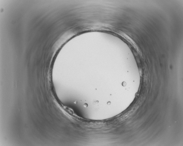 X0000058131285200510212036