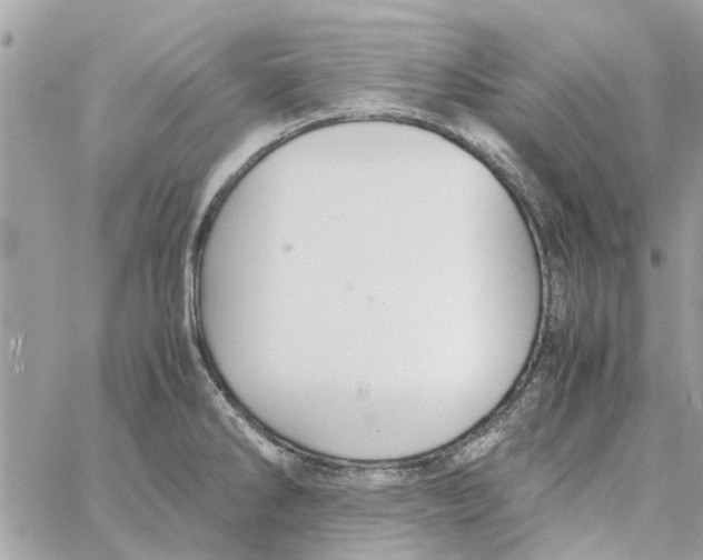 X0000058131286200510212036