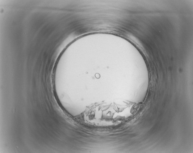 X0000058131291200510212036