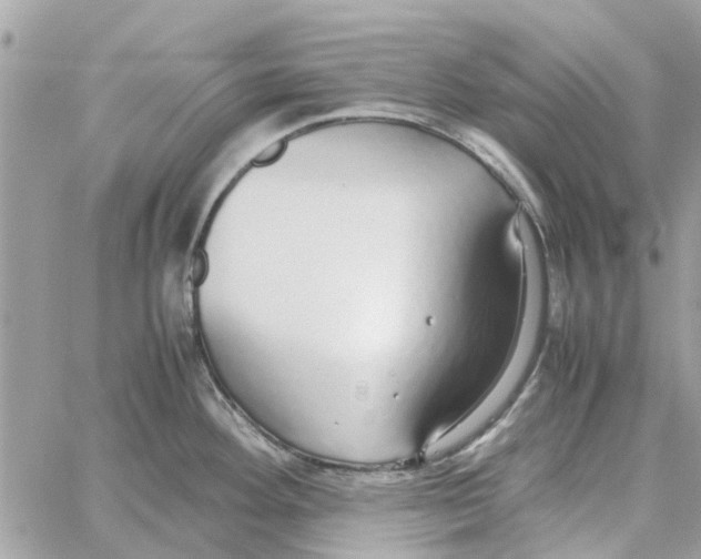 X0000058131292200510212036