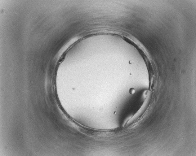 X0000058131293200510212036