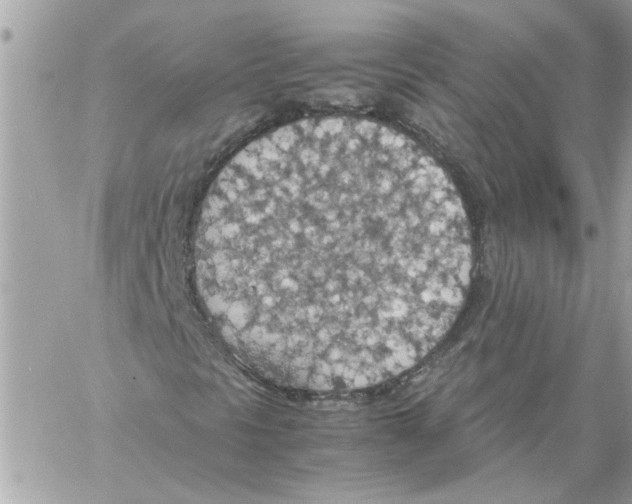 X0000058131297200510212035