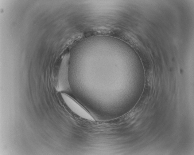 X0000058131298200510212035