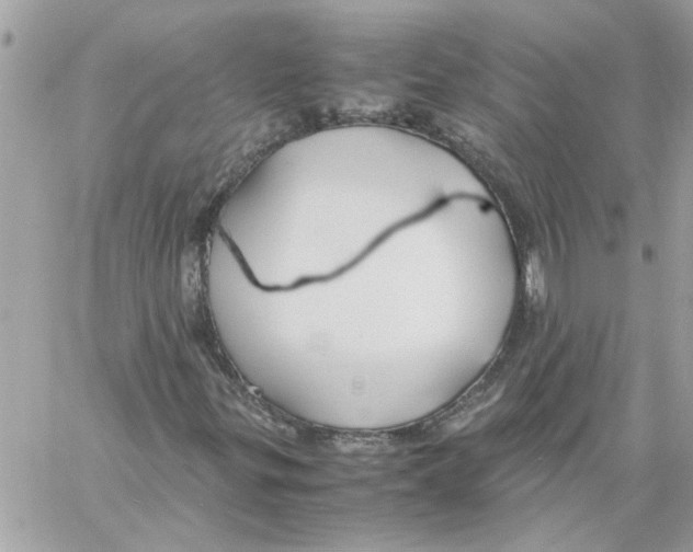 X0000058131299200510212035