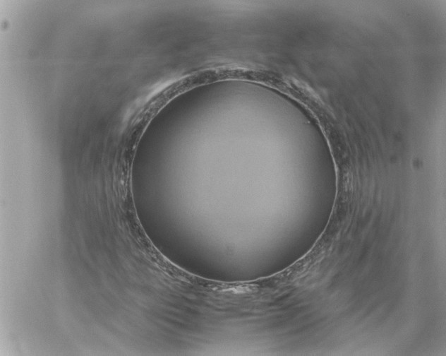 X0000058131303200510212035