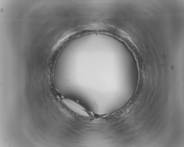 X0000058131304200510212035