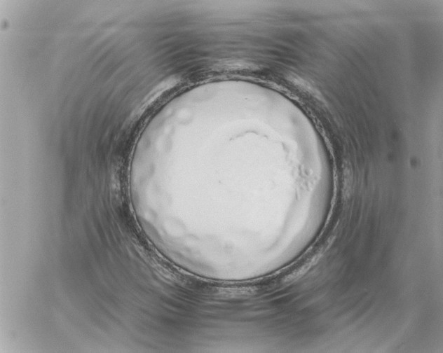 X0000058131305200510212035