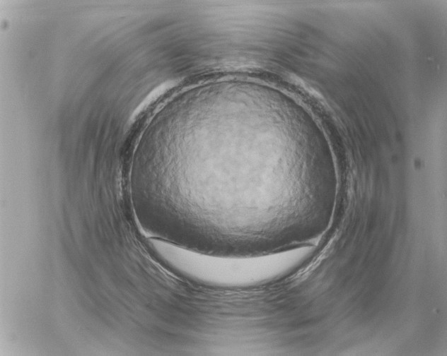 X0000058131306200510212035