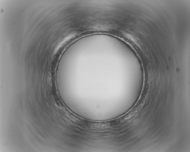 X0000058131307200510212035