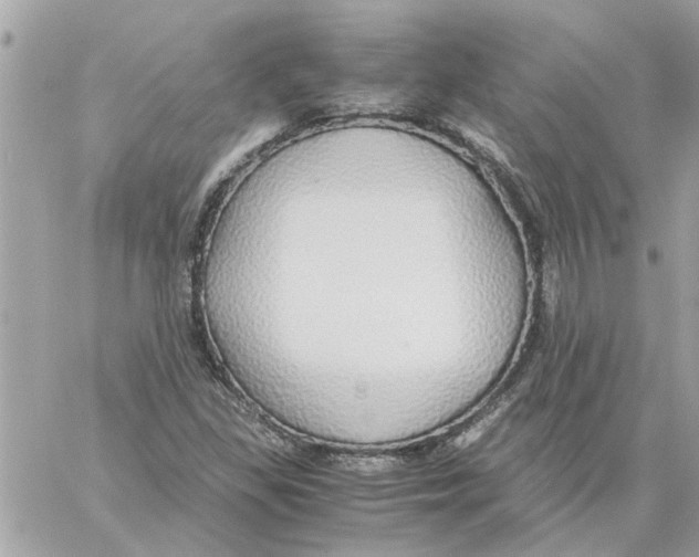 X0000058131309200510212035