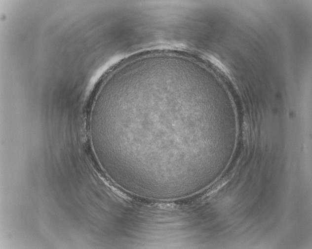 X0000058131310200510212035