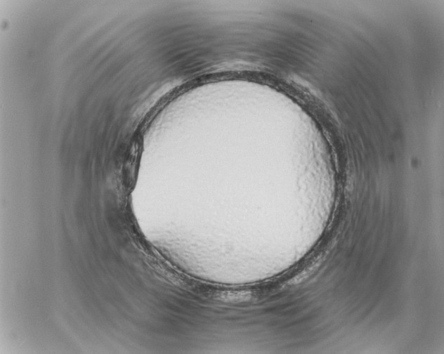 X0000058131313200510212036