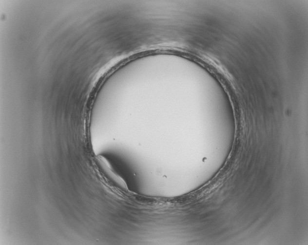 X0000058131316200510212036