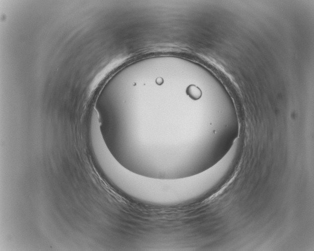 X0000058131317200510212036