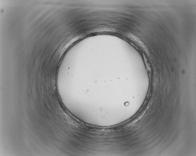 X0000058131321200510212036