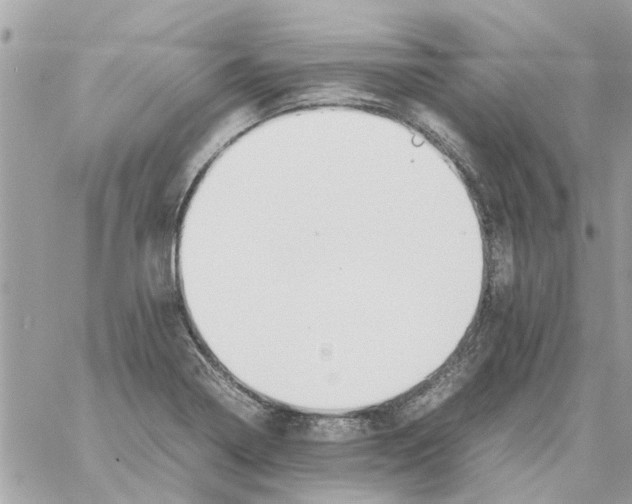 X0000058131322200510212036