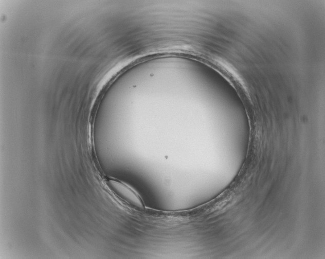 X0000058131324200510212036