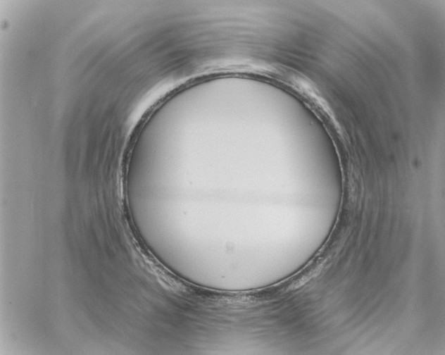 X0000058131328200510212036