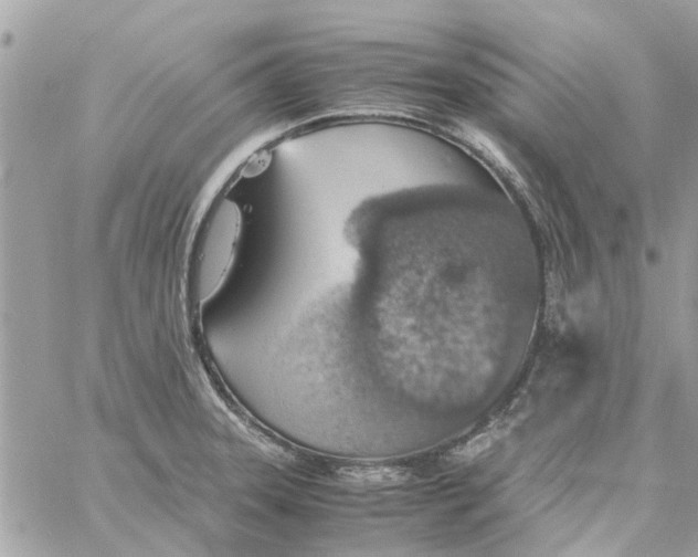 X0000058131331200510212036