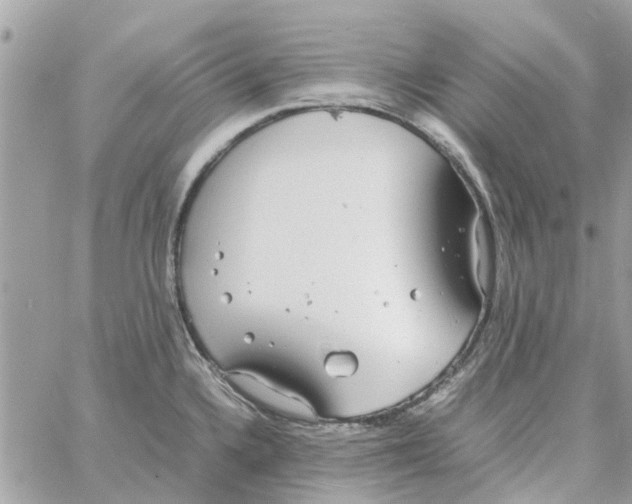 X0000058131336200510212036