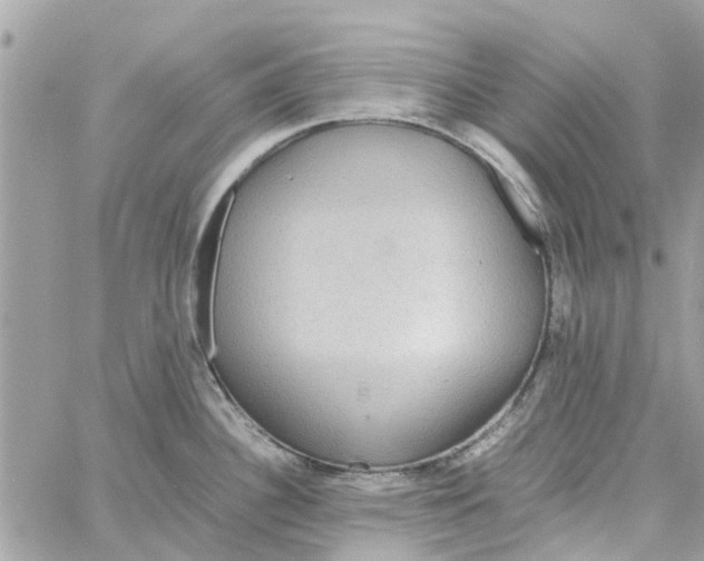 X0000058131340200510212036