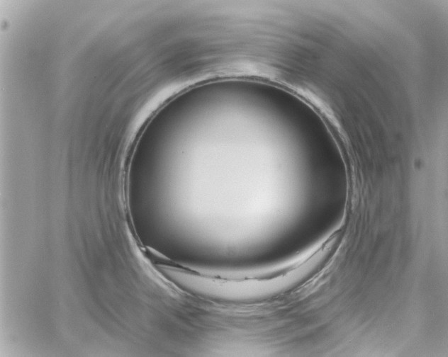 X0000058131342200510212036