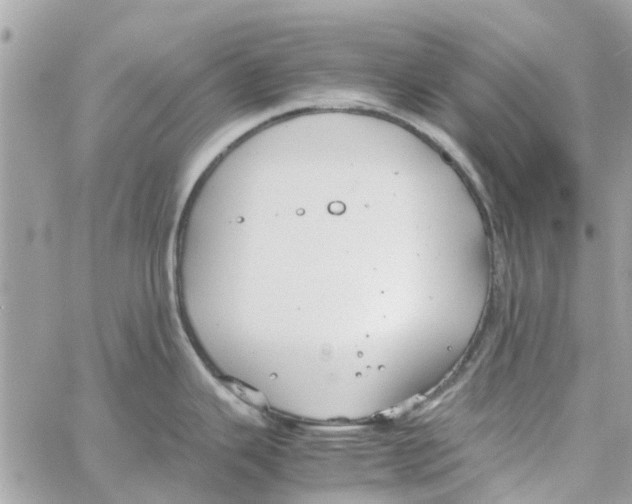 X0000058131343200510212036