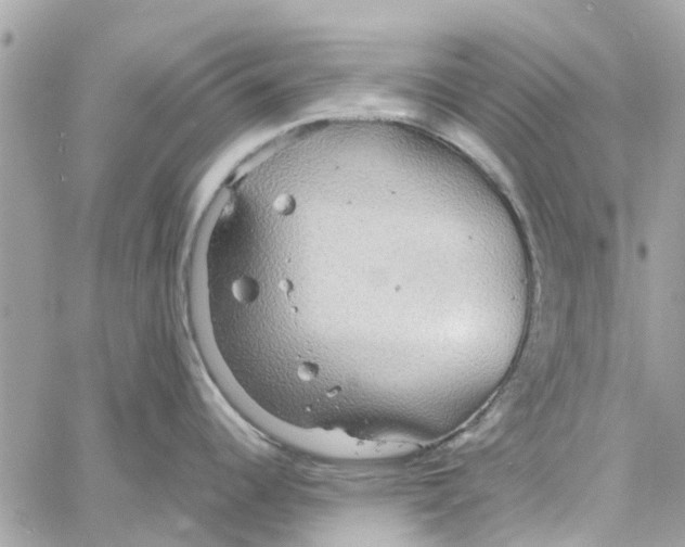 X0000058131344200510212036