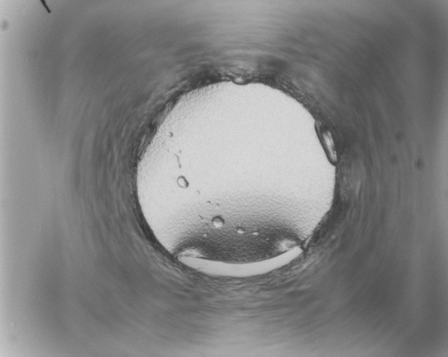 X0000058131345200510212035