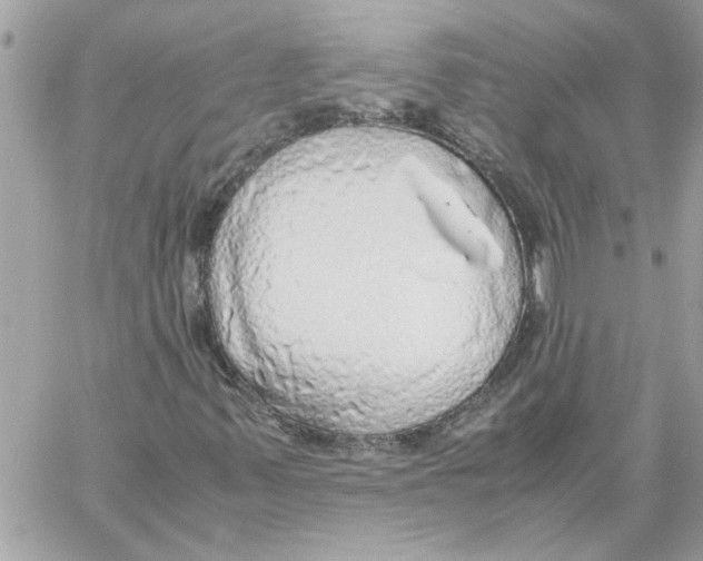 X0000058131347200510212035