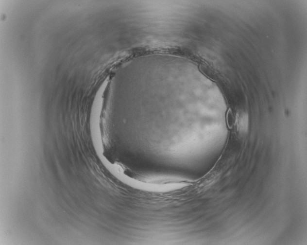 X0000058131348200510212035