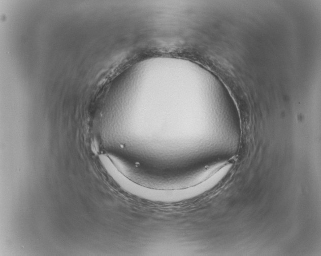 X0000058131349200510212035