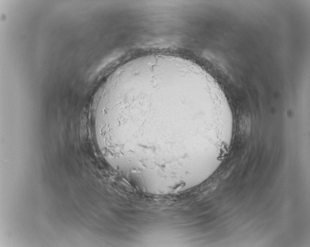 X0000058131350200510212035