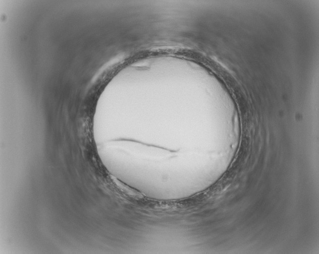 X0000058131351200510212035