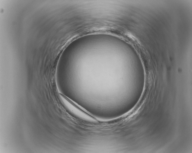 X0000058131353200510212035