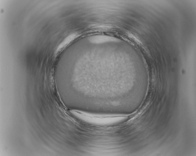 X0000058131354200510212035