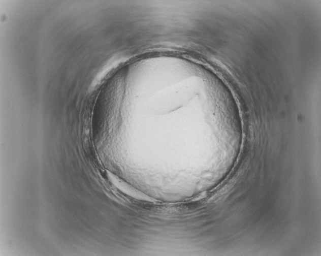 X0000058131355200510212035