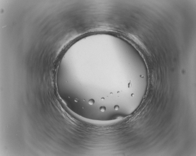 X0000058131356200510212035