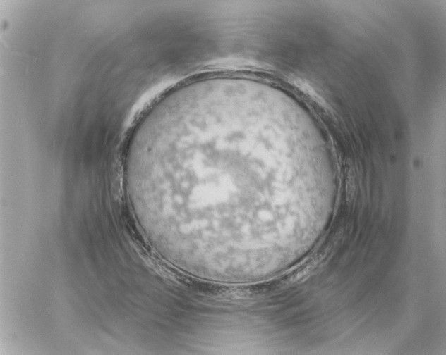 X0000058131358200510212035