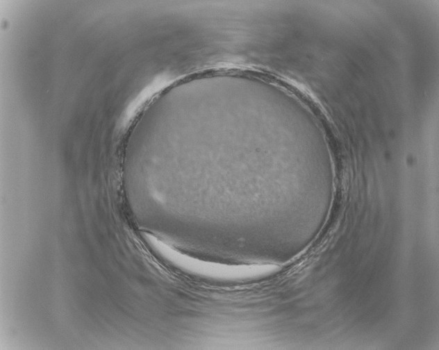 X0000058131359200510212035