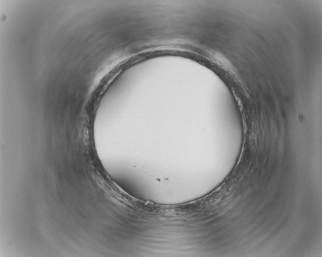 X0000058131360200510212035