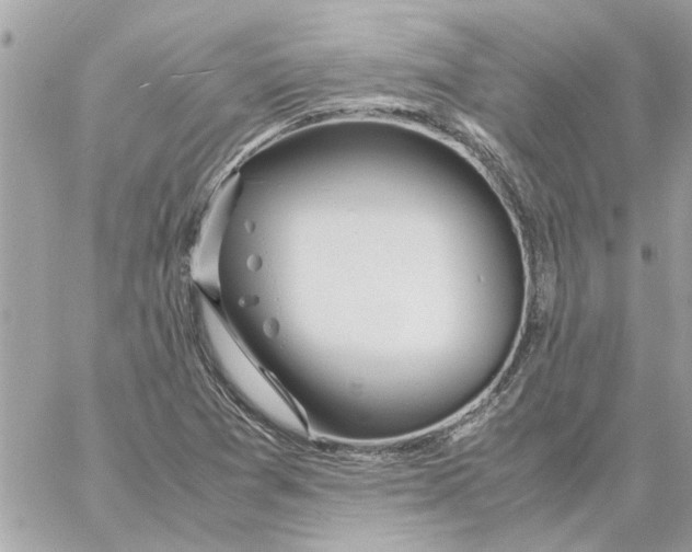 X0000058131361200510212035