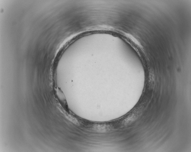 X0000058131364200510212035