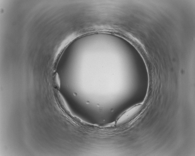 X0000058131365200510212035