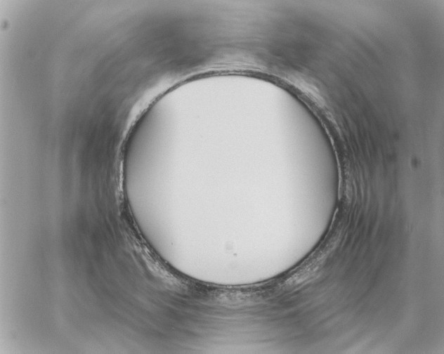 X0000058131366200510212035