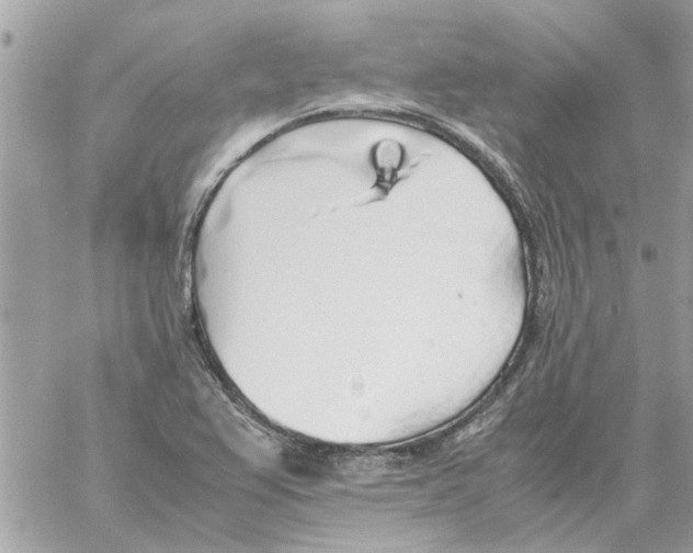 X0000058131367200510212035