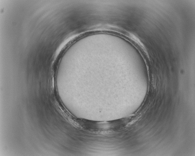 X0000058131368200510212035