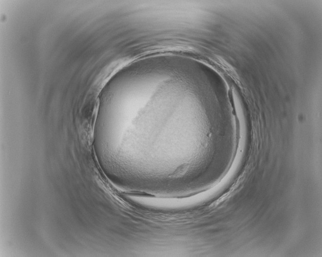 X0000058131369200510212035